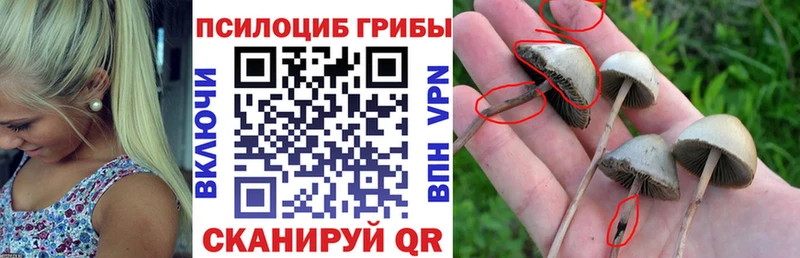 купить закладку  Коммунар  маркетплейс официальный сайт  Галлюциногенные грибы Psilocybe 