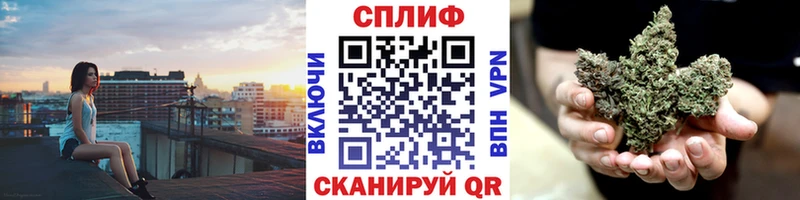 Бошки Шишки сатива  Коммунар 